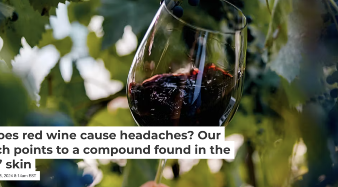 Some people get headaches after drinking red wine. Yuliia Kokosha/Moment via Getty Images